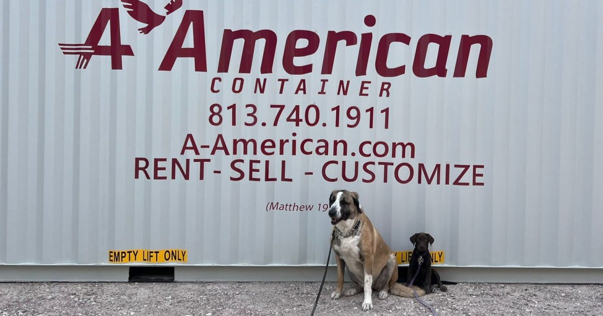 dogs with A American Container logo on container