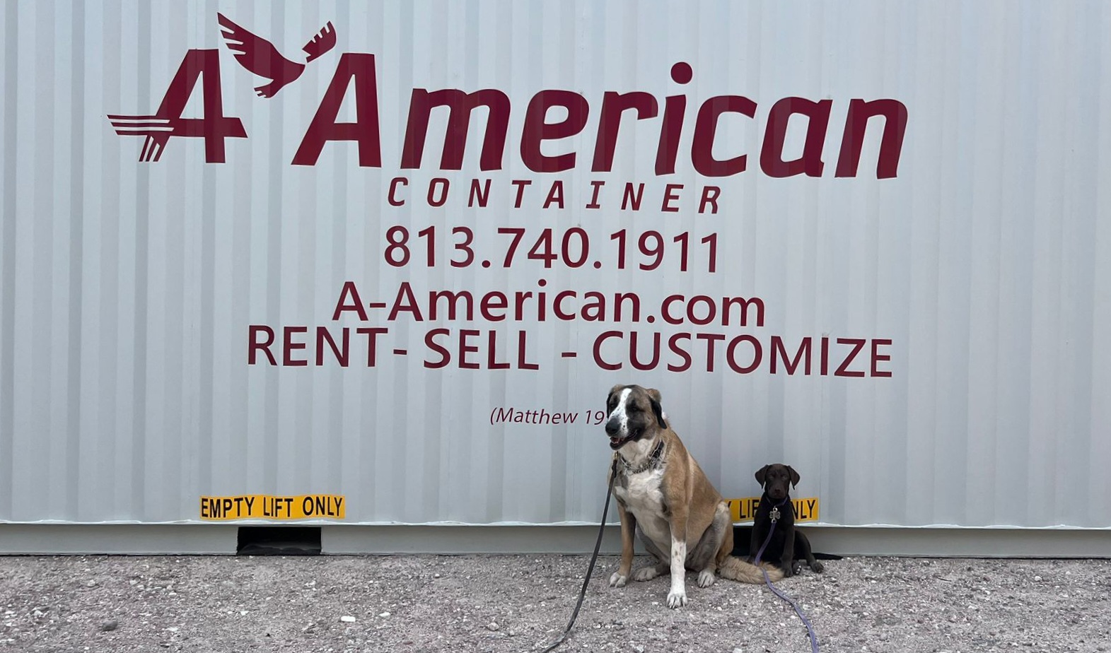 dogs with A American Container logo on container
