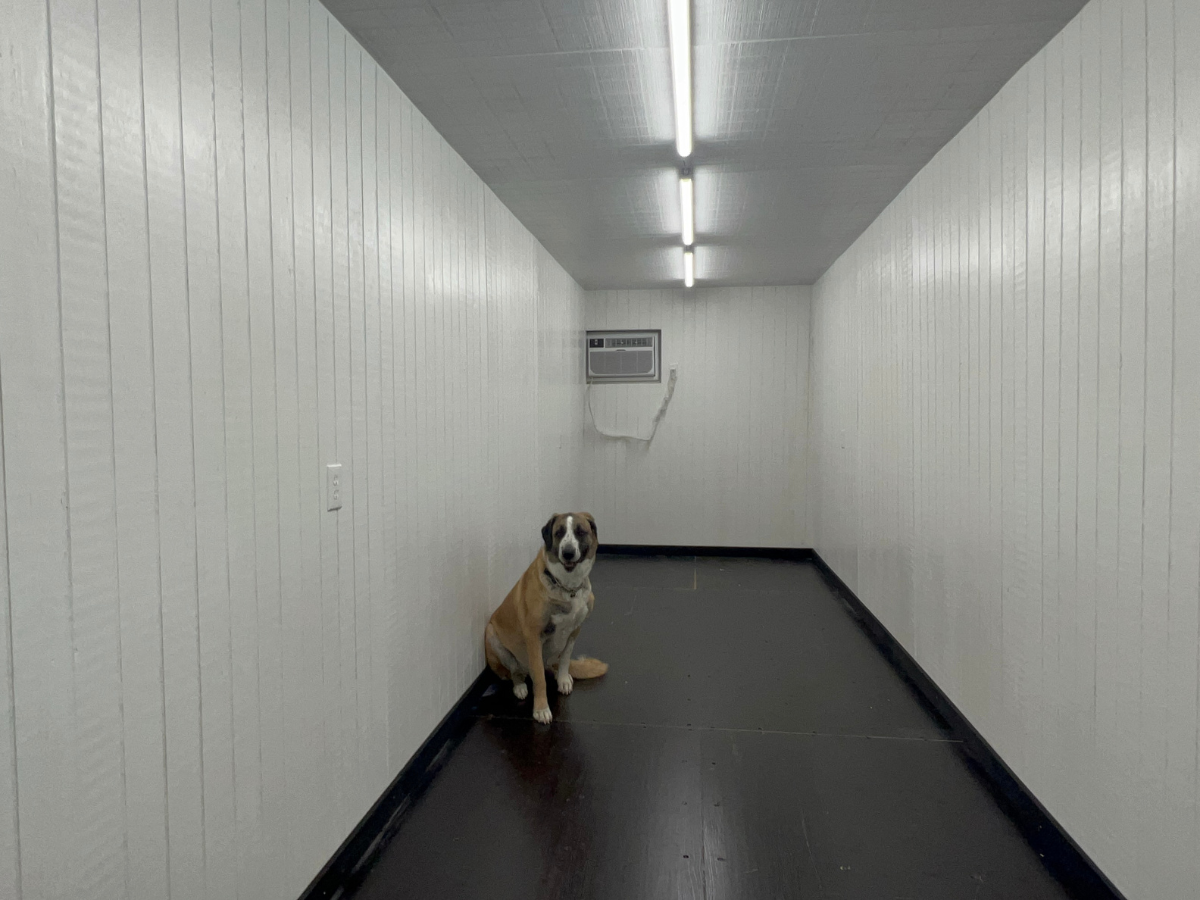 Scout in container mod with lighting