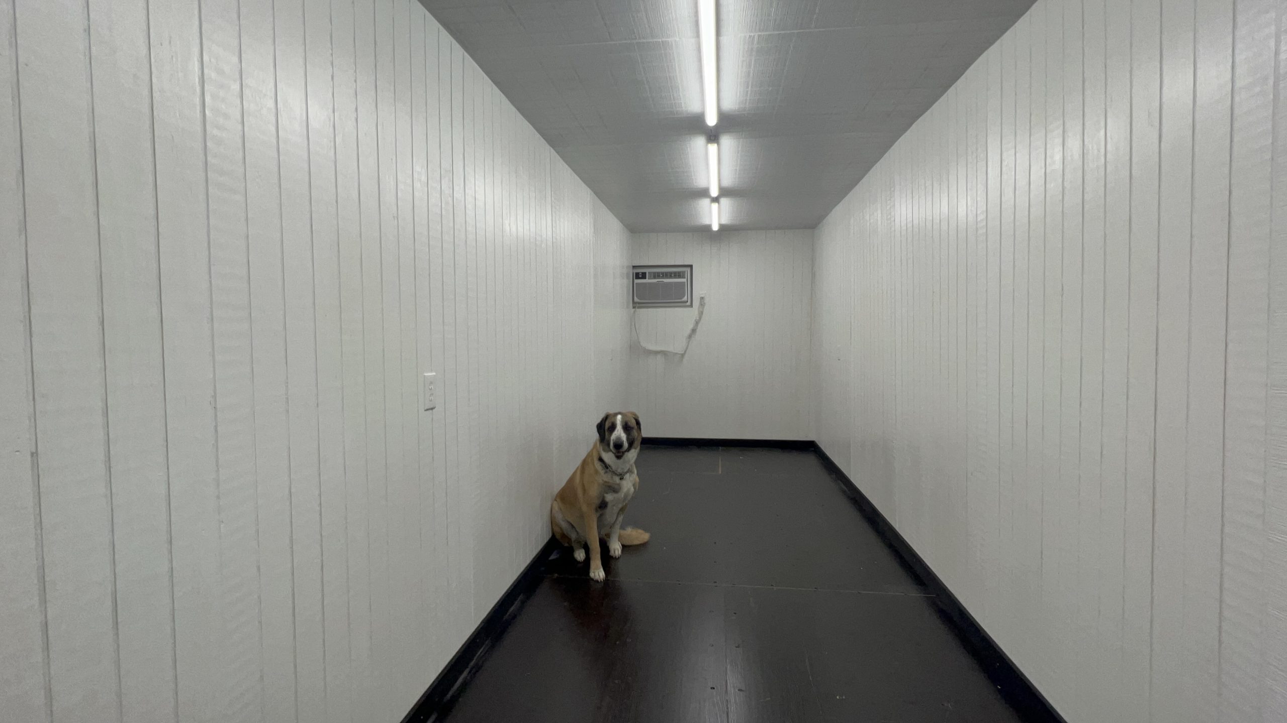 Scout with HVAC inside container