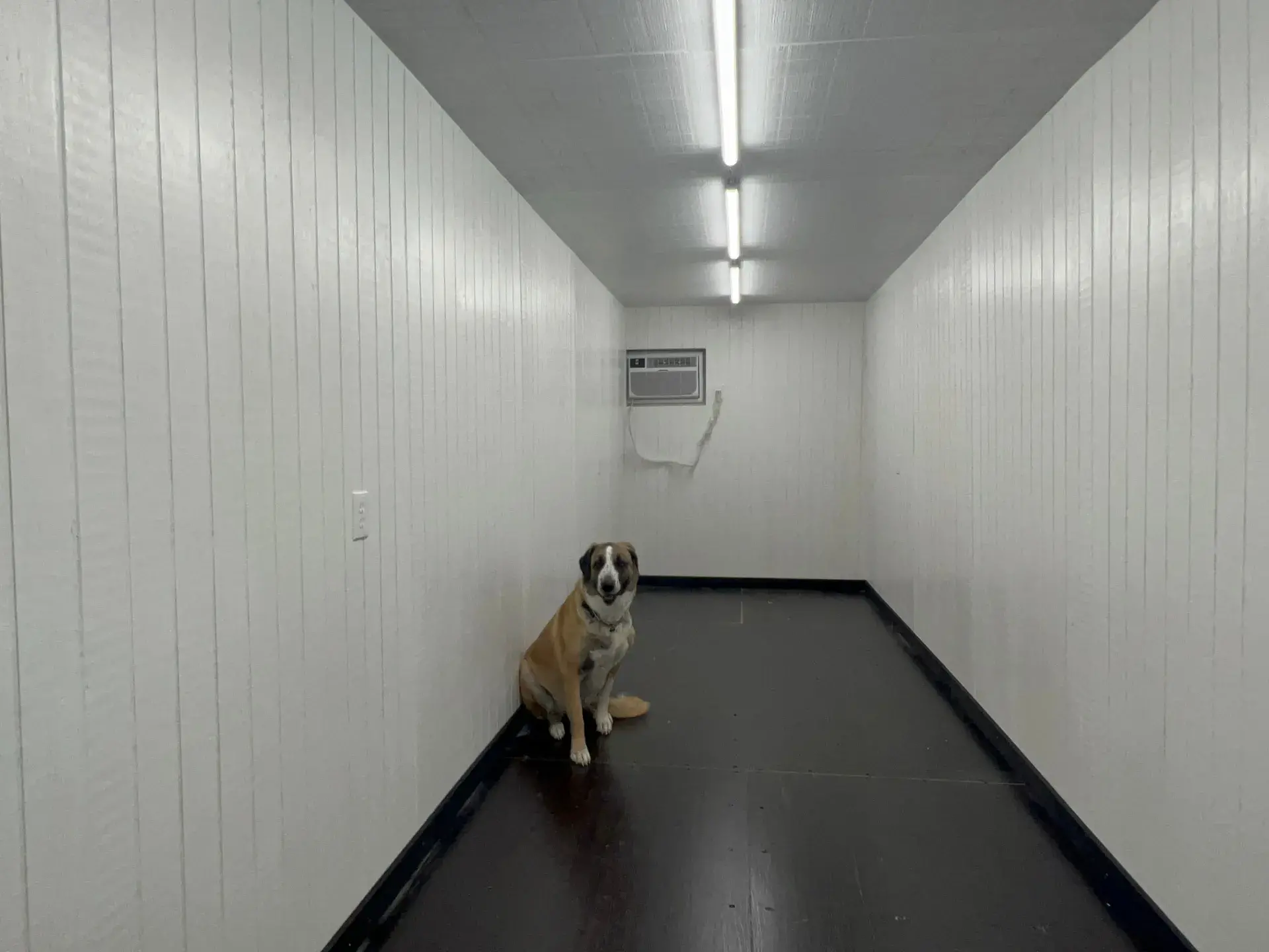container-with-hvac-with-scout-a-american